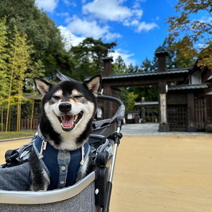 日光・鬼怒川温泉に1泊2日で行ってきました!