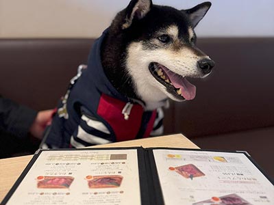 飲食店
