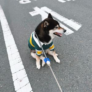 琥大朗ギャラリー 散歩フォト